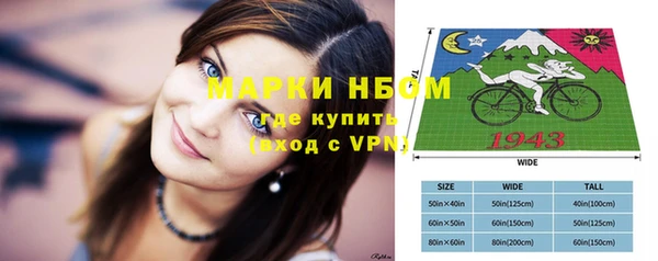 винт Верея