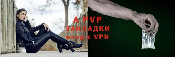 винт Верея