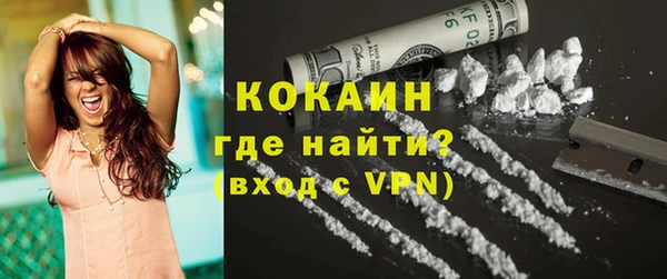 винт Верея