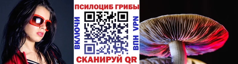 Галлюциногенные грибы MAGIC MUSHROOMS  где продают наркотики  Курган 